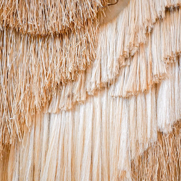 Imatge "Vida costera" a exposicions